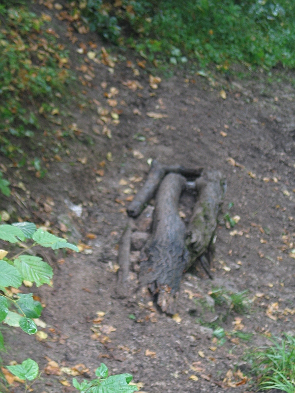 Original image